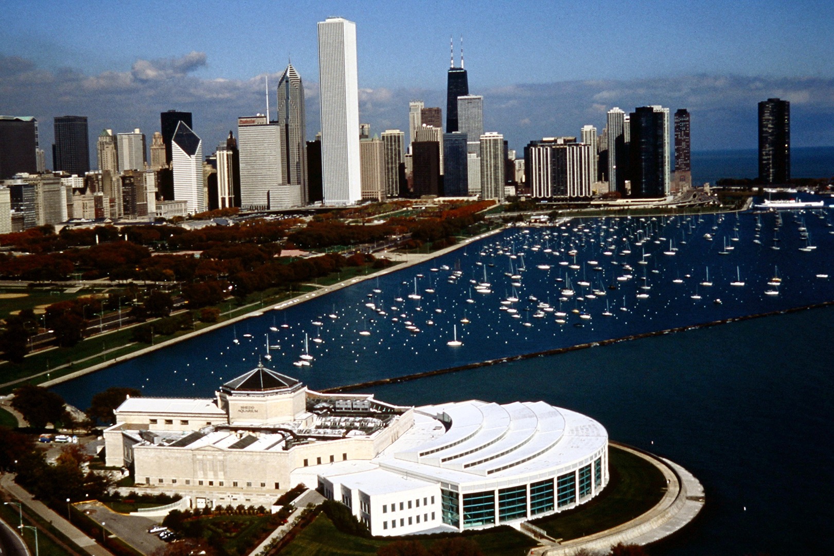 Shedd Aquarium with Skyline