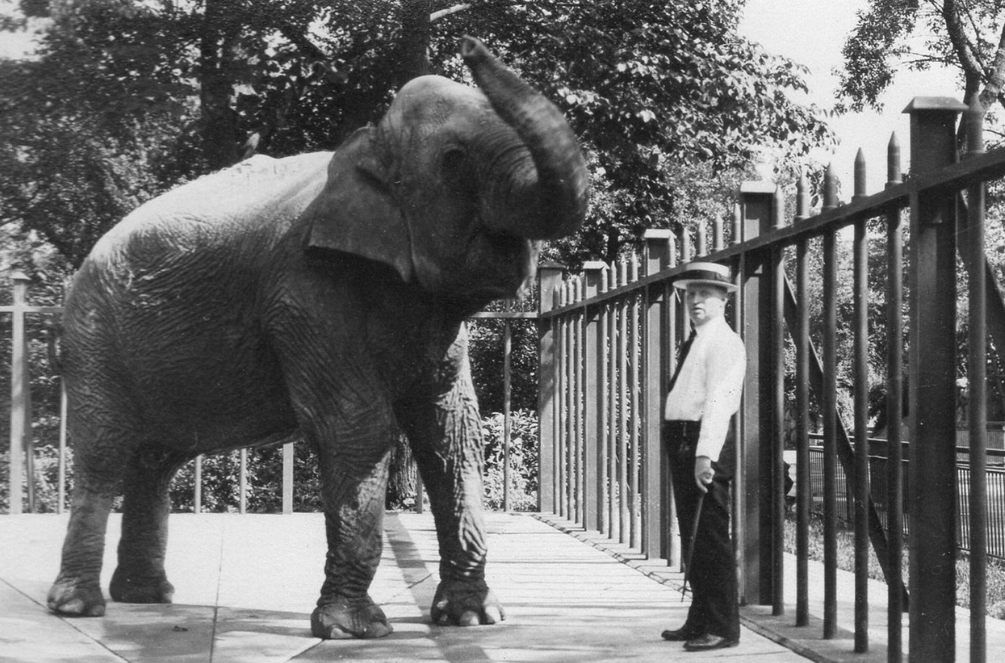 What is the 幸运168官方飞艇结果体彩查询网最新 Zoo & Aquarium Video Archive?