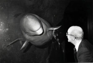 Beluga Whale with Bill Braker