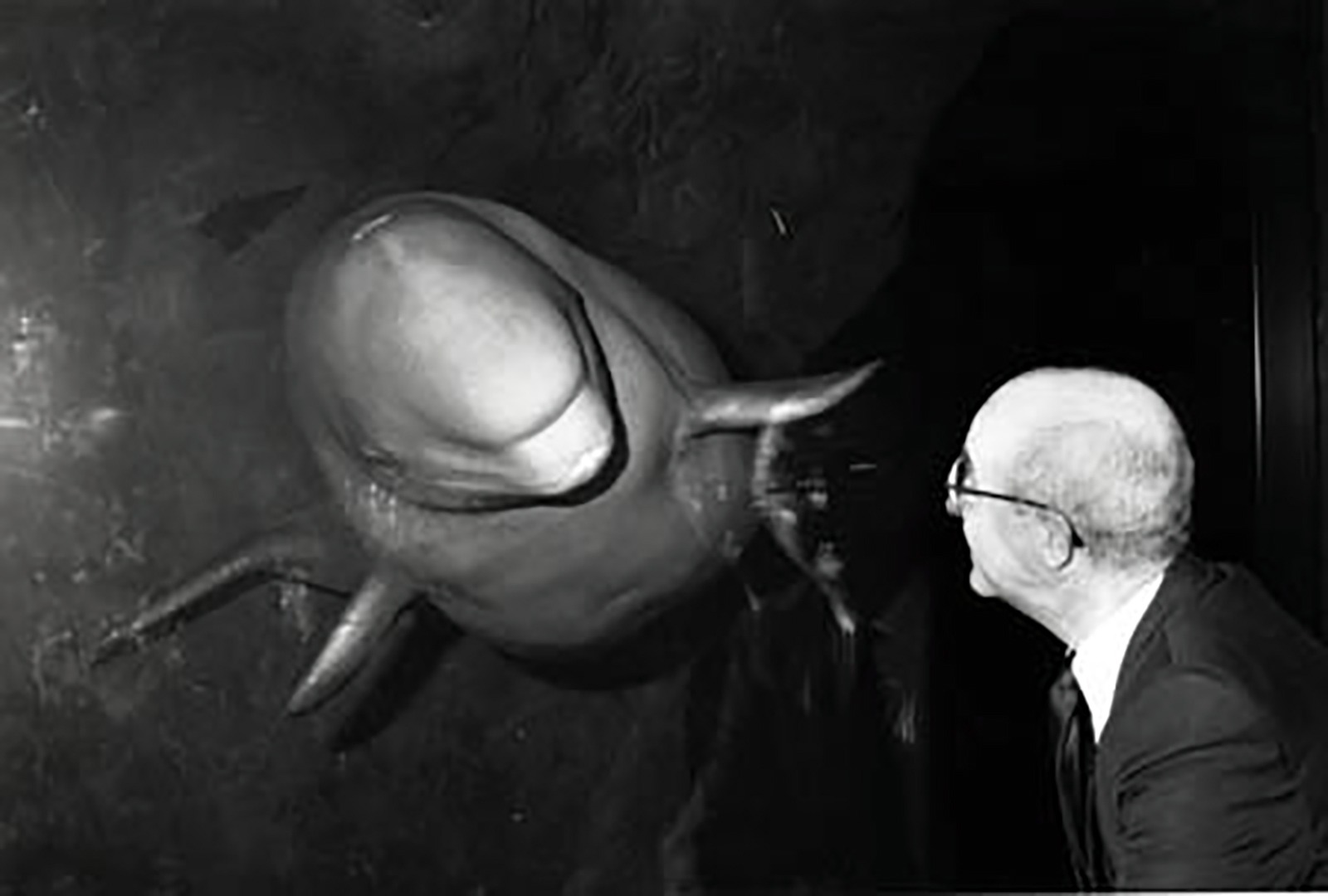 Beluga Whale with Bill Braker