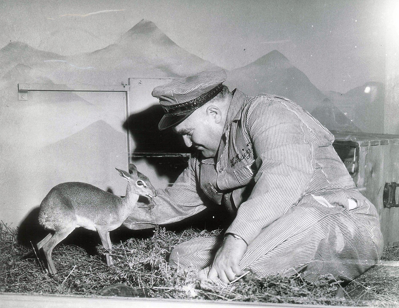 Bill Huizinga w/ baby deer