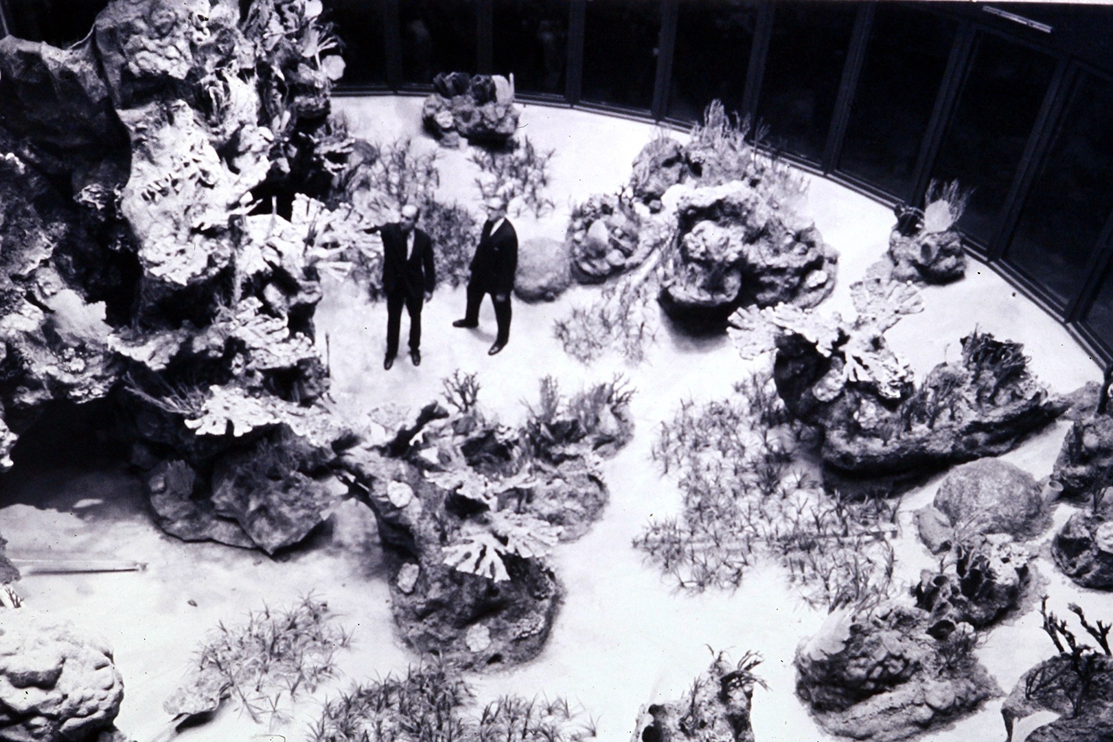Bill Braker in the Coral Reef Exhibit