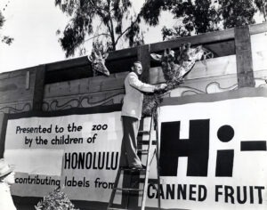 Paul Breese with giraffe shipment, 1955