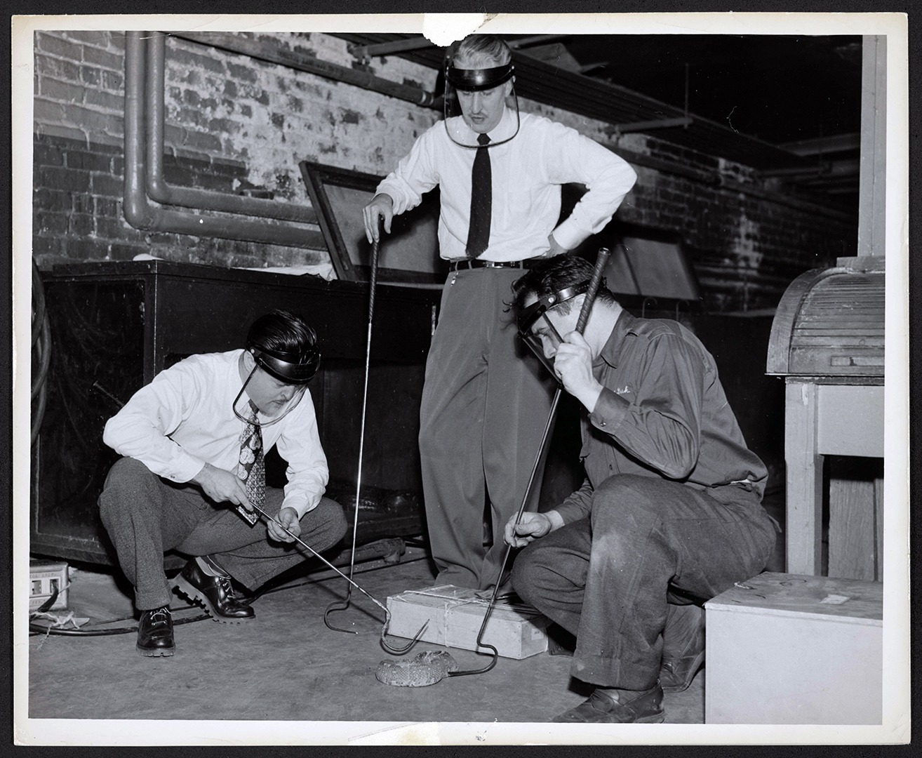 Marlin Perkins & keepers with snake