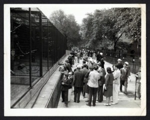Bird of Prey exhibits