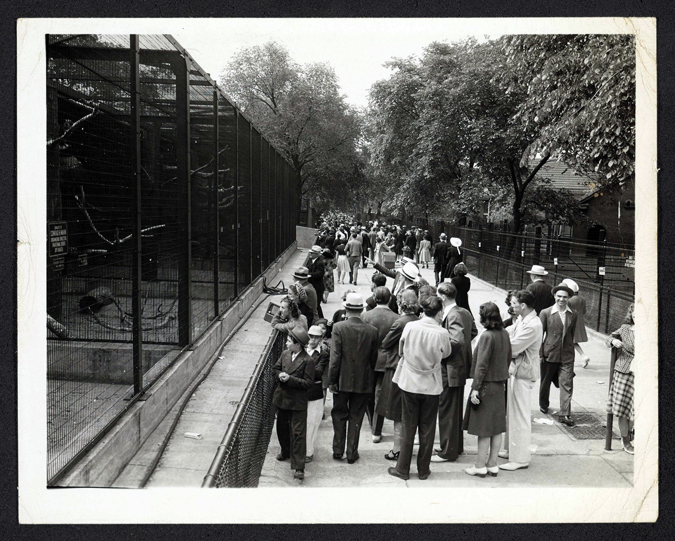 Bird of Prey exhibits