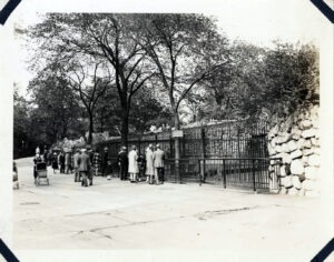 Visitors view bear exhibits