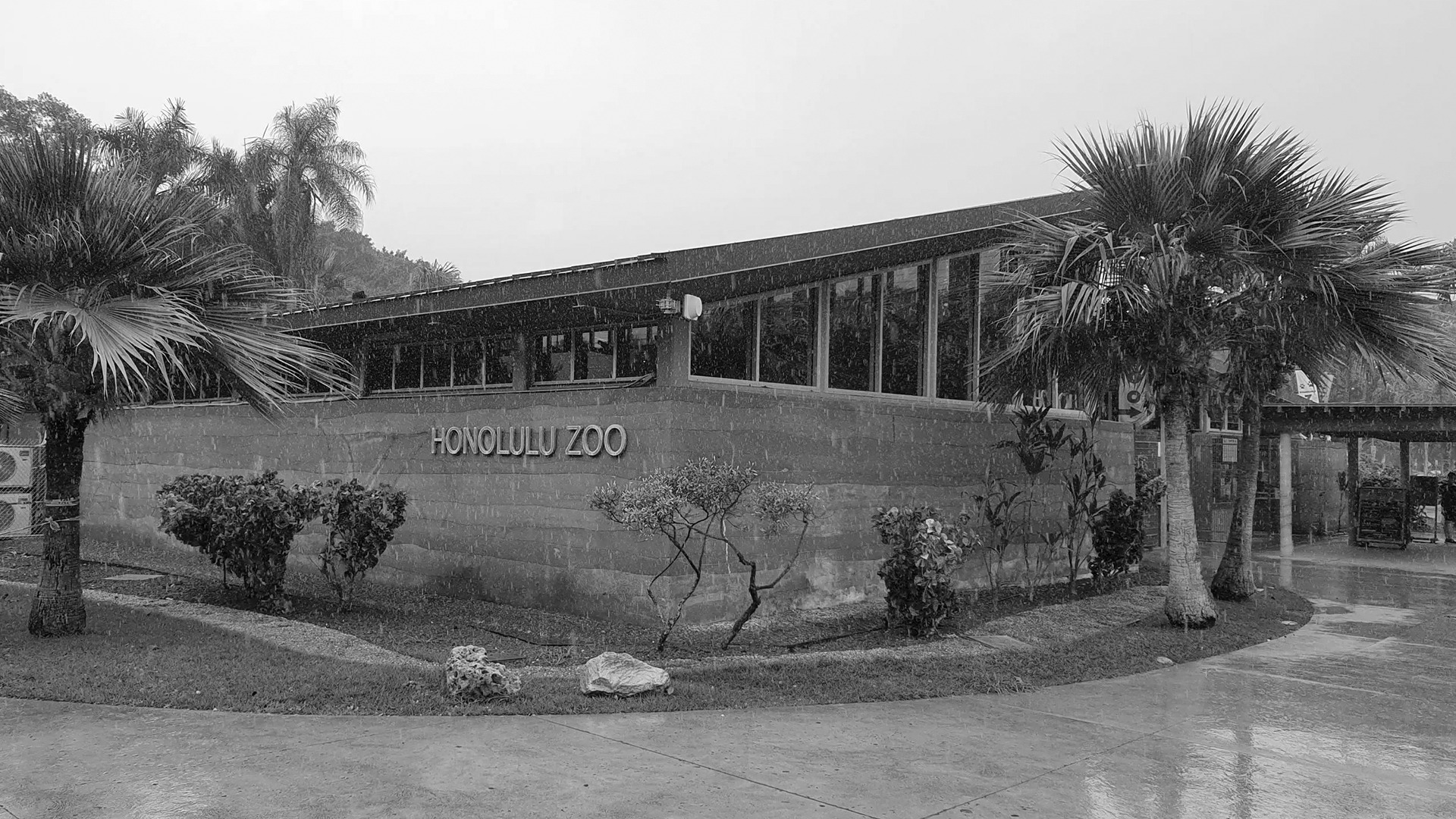 honolulu-zoo-tn