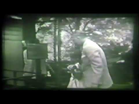 Episodes of Zoo Parade from 1953 slide 20