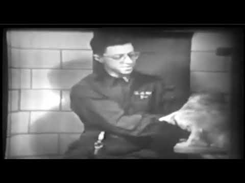 Episodes of Zoo Parade from 1951 slide 12