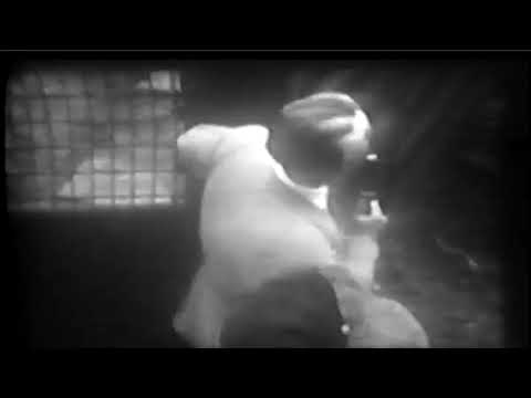 Episodes of Zoo Parade from 1951 slide 15