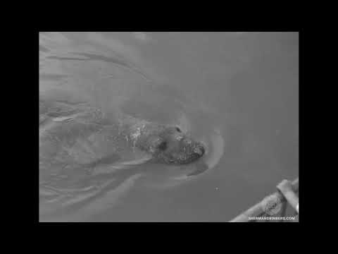 Brookfield Zoo slide 5