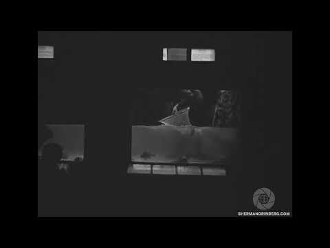 New York Aquarium slide 2