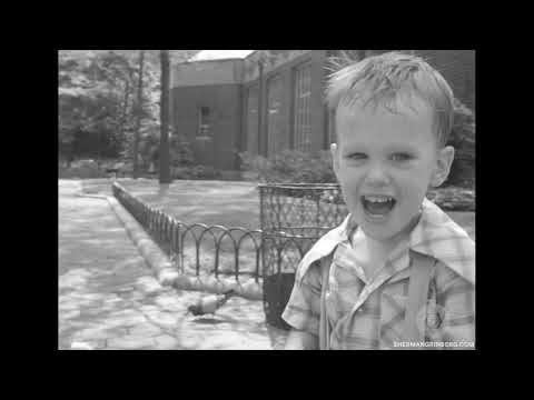 Central Park Zoo slide 3