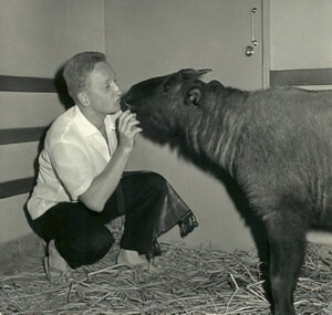 John-Roth-1959-Rangoon-Burmese-Bronx-Zoo