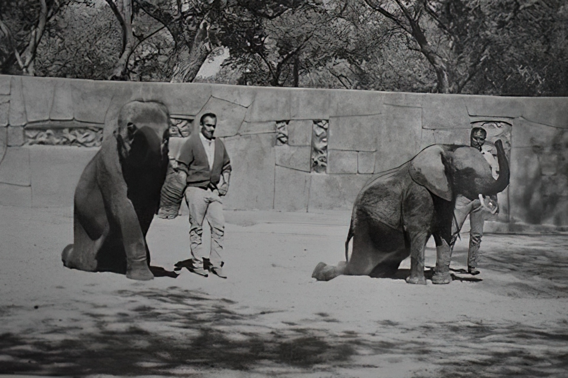 John-Roth-DSC_0012-L