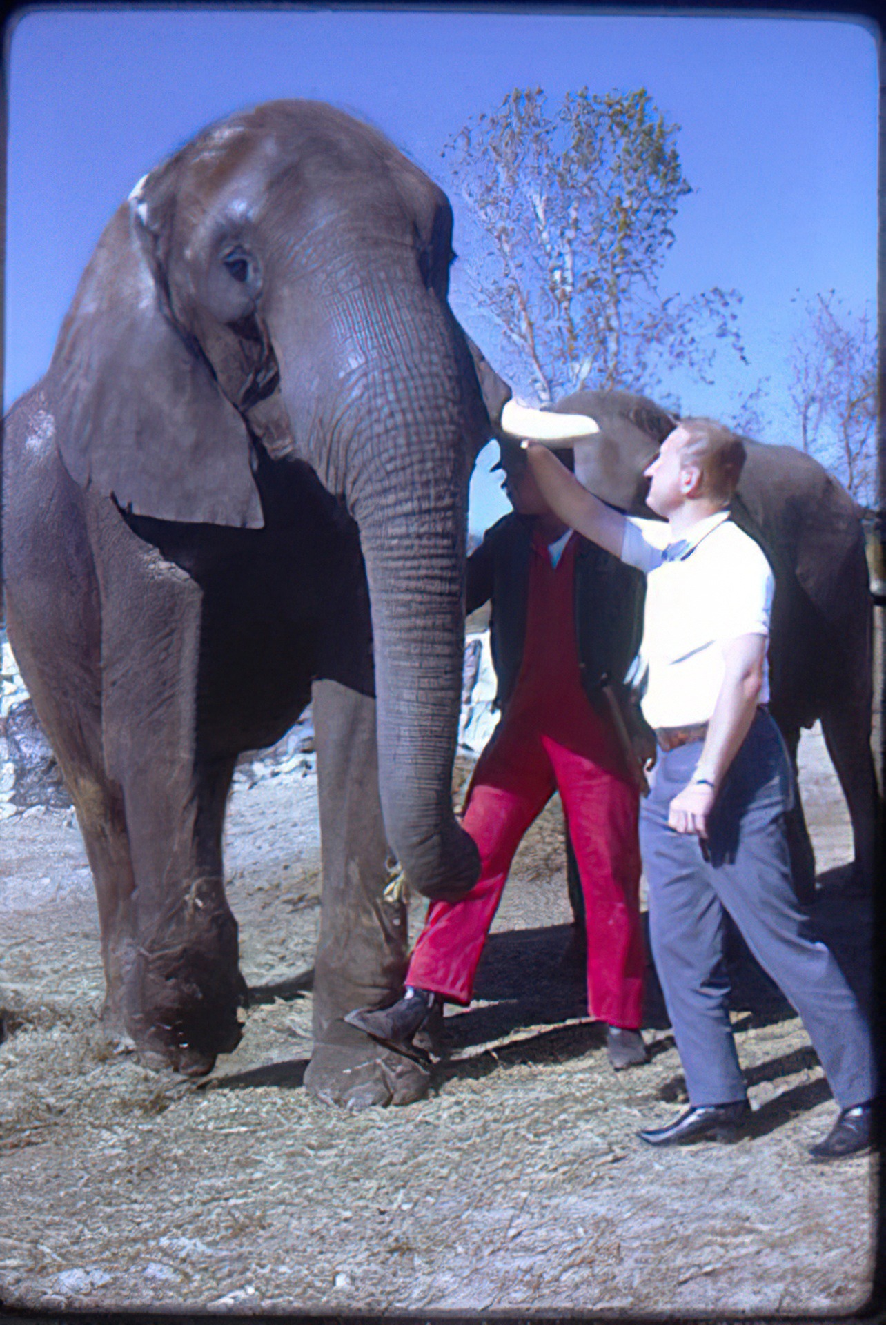 John-Roth-Kansas-City-Zoo-1967