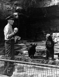 Keeper Feeding Bear