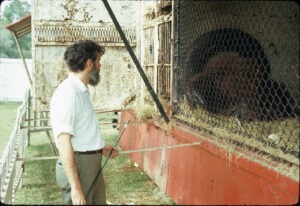 Ulie Seal at Noell’s Ark with Orangutan