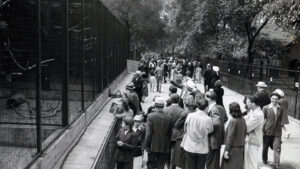 Bird of Prey exhibits