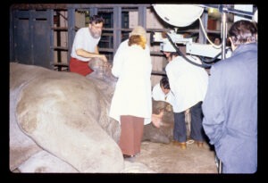 Russia Ulie Dec.1978