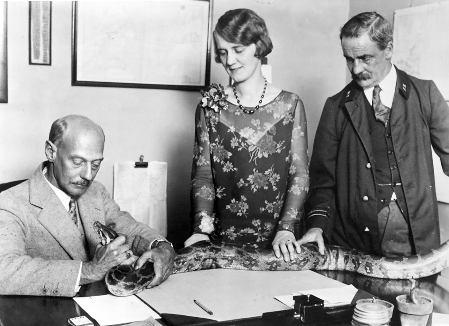 Raymond Ditmars, Grace Davall, and Toomey in-Reptile House Office 00-00-20